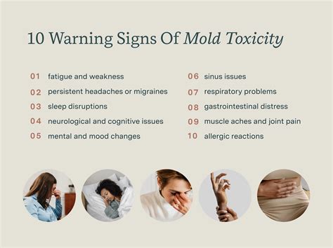 Does Mold Toxicity Show Up in Bloodwork? Exploring the Invisible Threads of Health Mysteries