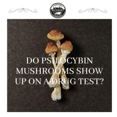 Does Psilocybin Show Up in a Drug Test: Unraveling the Mysteries of Psychedelic Detection